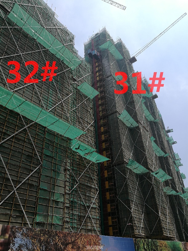 2222.jpg