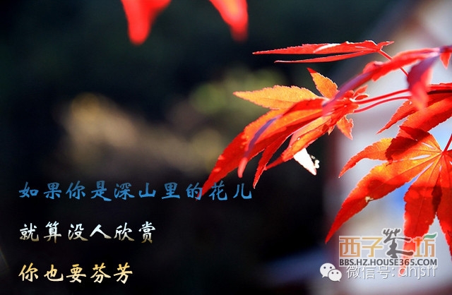 !一个<em>男人与女人的对话</em> 一只母鸡与小鸡的对话
