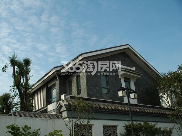山西周易协会名单