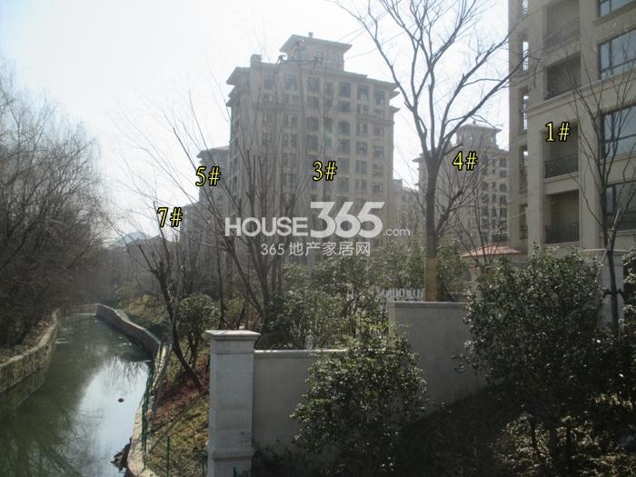 绿城翡翠湾项目1、3、4、5、7号楼实景图（2015.2）