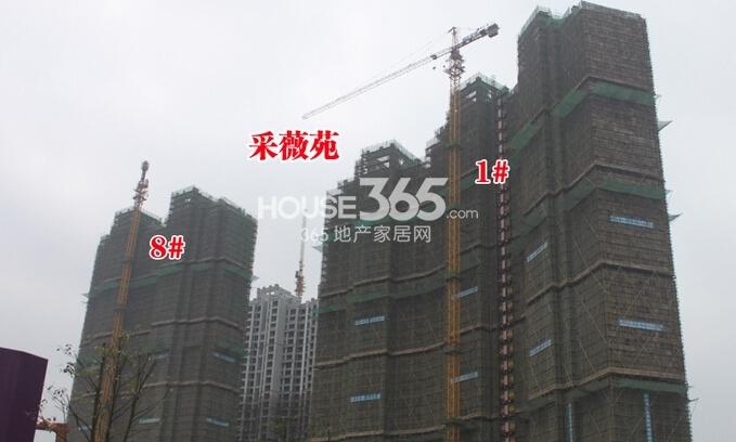 东方龙城采薇苑工程进度1#、8#楼已封顶（2015.2摄）