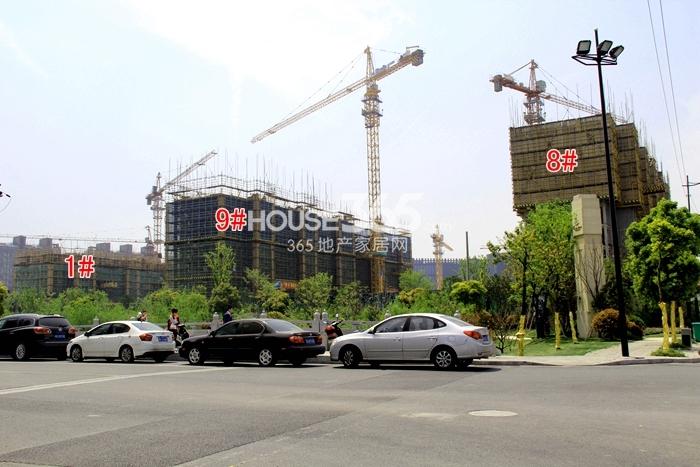 阳光城翡丽湾1、8、9号楼施工实景图 2015年4月摄