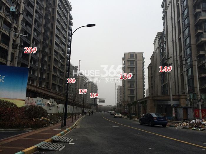 滨江金色黎明大二期13#、14#和大三期16-18#、20#实景图 2015年4月摄