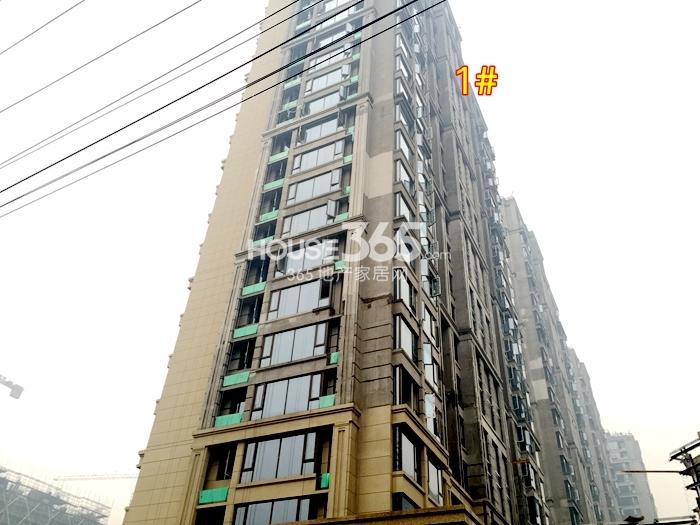 滨江万家名城一期1号楼施工进度 2015年5月摄