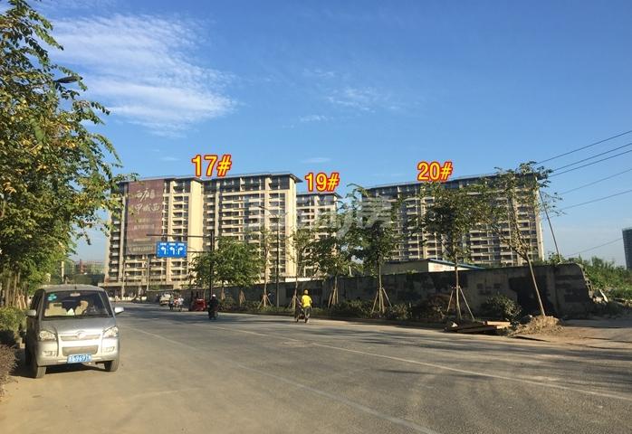 万科西庐一期17、19、20号楼施工实景图（2015.7）
