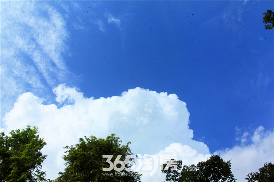 碧桂园上空现“日晕”奇观（2015年8月摄）