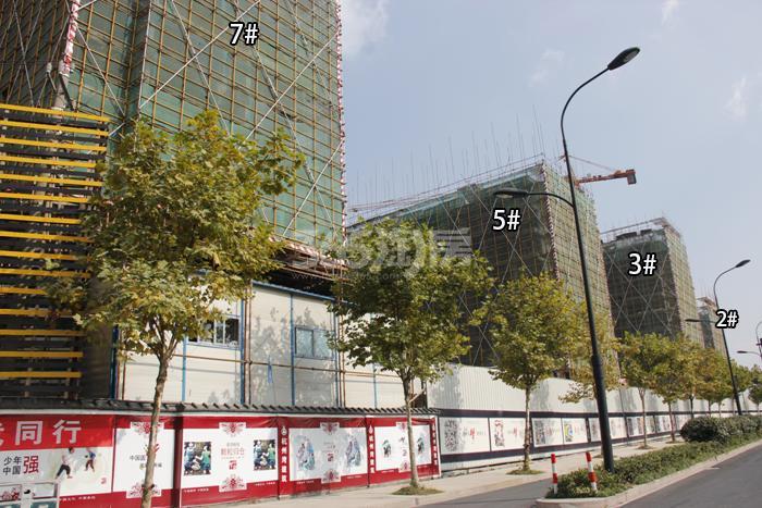 德信浙旅东宸2、3、5、7号楼施工进度实景图 2015年10月摄