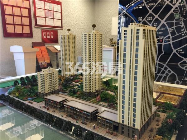 中山八号中山8克拉最新动态