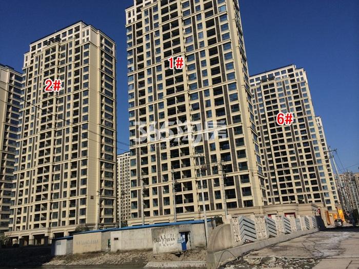 滨江万家名城一期1、2、6号楼实景图 2016年1月摄