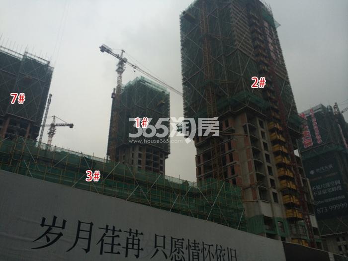 滨江华家池1、2、3、7号楼施工实景图 2016年1月摄