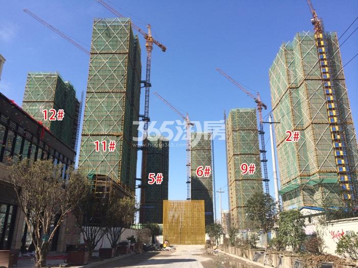 2016年2月雍景湾项目实景--2、5、6、9、11、12号楼