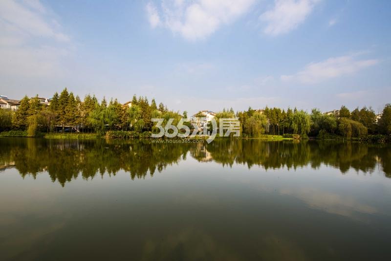 西溪风情花园观止苑项目景观实景图