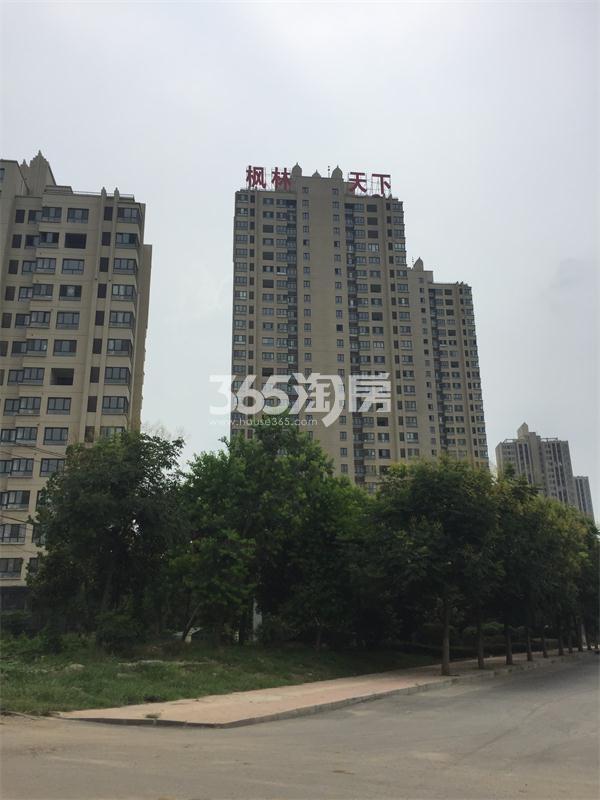 伟星管材价格明细表
