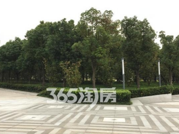 熙悦附近中央公园实景图（1.25）